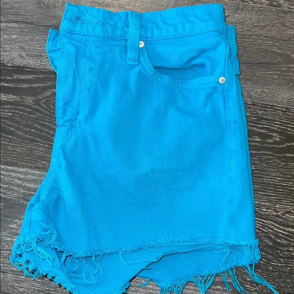 Hudson Jeans Teal Denim Shorts